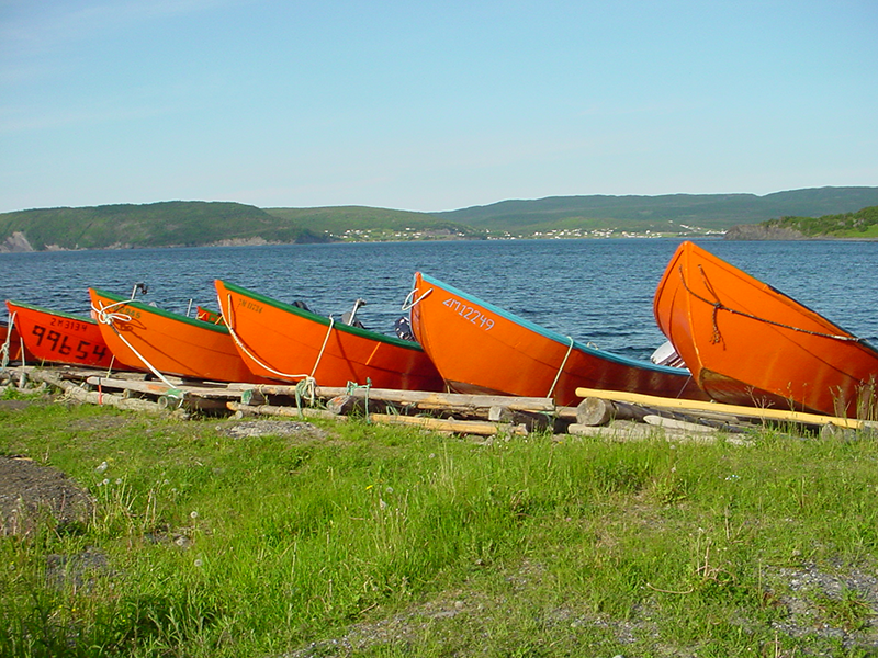 Orange canoes pulled up onto the shore of a lake.